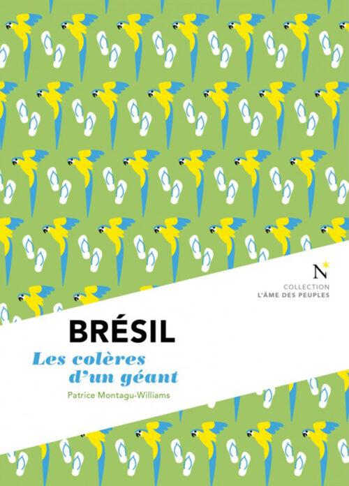 BRÉSIL, Les colères d'un géant