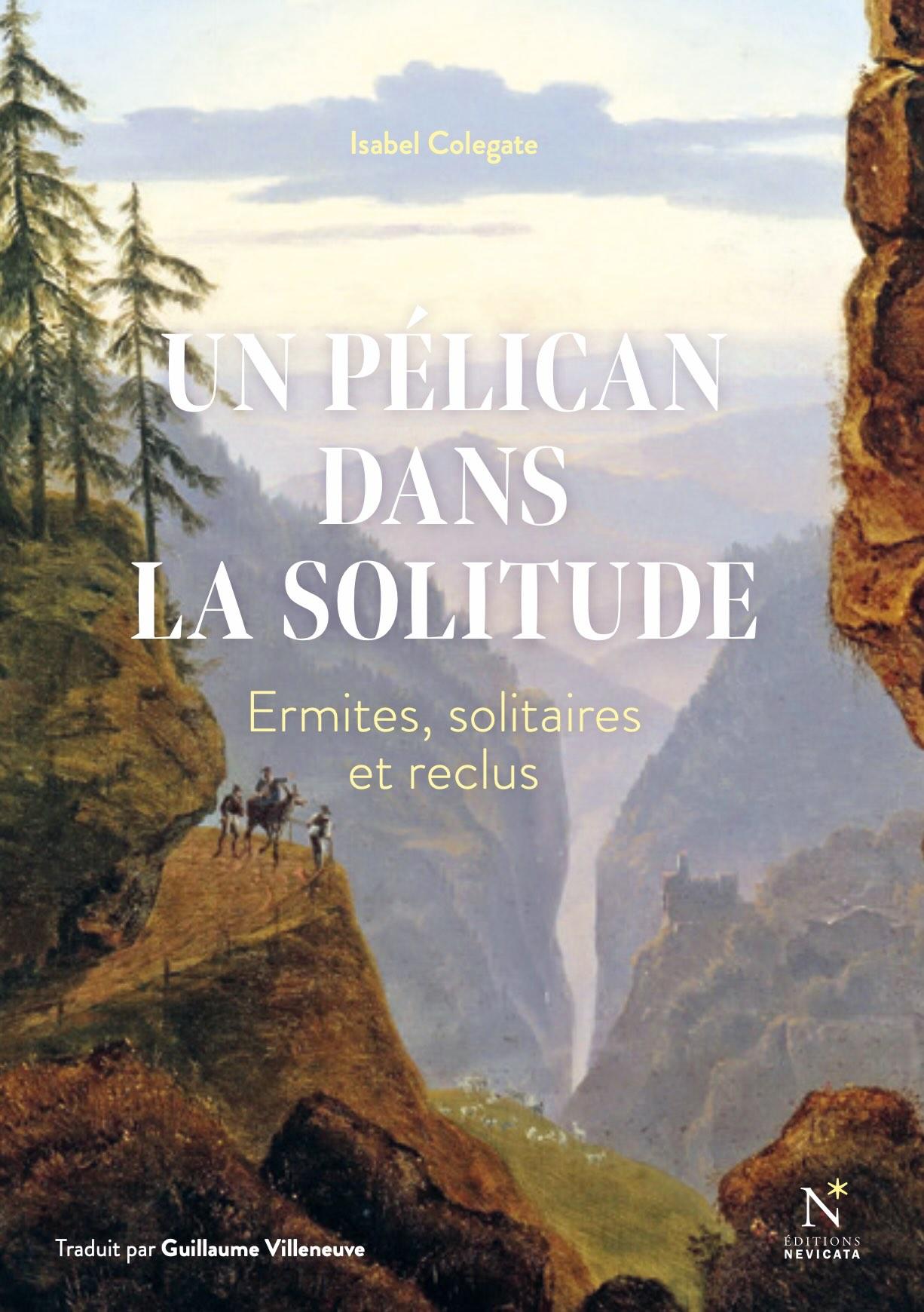 Un pélican dans la solitude